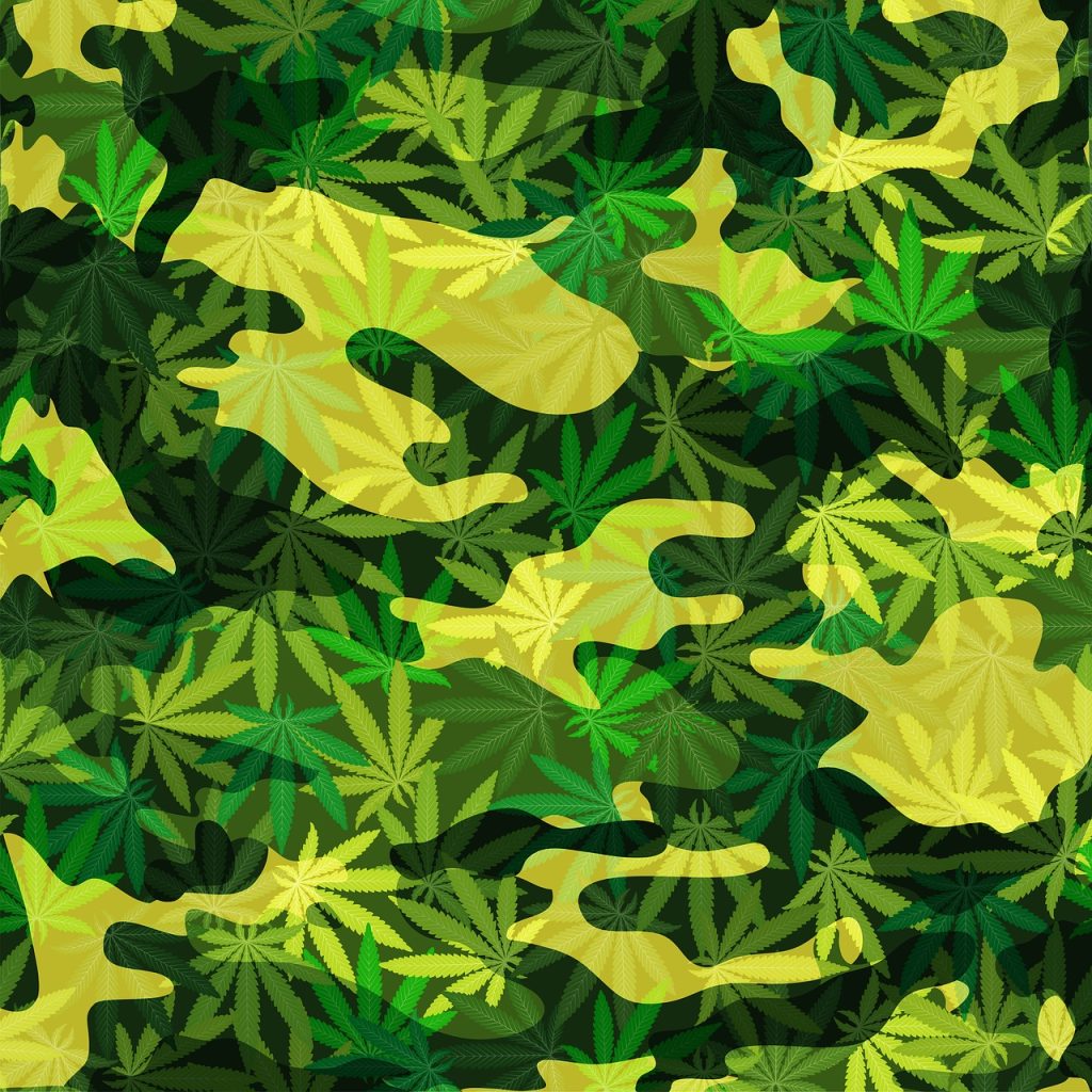 marijuana, camouflage, cannabis-1906250.jpg